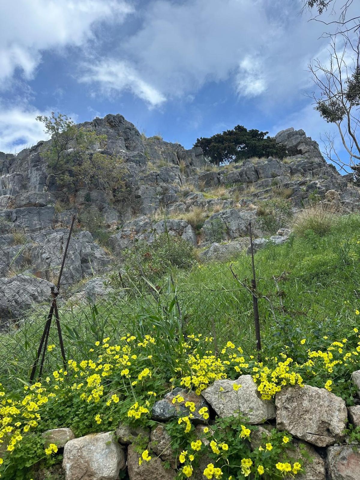 Kali * Lindos (Rhodes)
